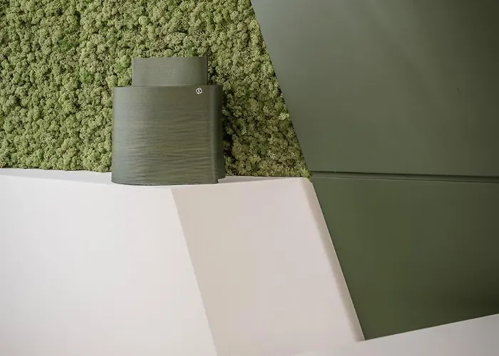 Mode Eco Mood - Adults Friendly 리미니